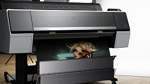 Printers Header 600x0px